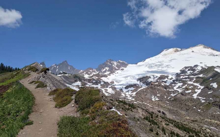 a trail leads to a snowy mountain in the pacific northwest